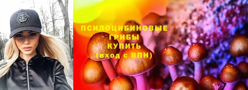 Псилоцибиновые грибы MAGIC MUSHROOMS  купить наркотик  Нижнекамск 